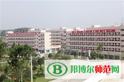 畢節(jié)幼兒師范高等?？茖W(xué)校2023年網(wǎng)站網(wǎng)址
