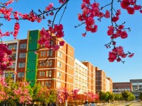 云南經(jīng)濟管理師范學(xué)院海源校區(qū)歷年錄取分?jǐn)?shù)線