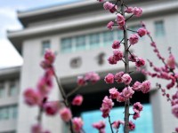 延安大學(xué)師范學(xué)院楊家?guī)X校區(qū)2023年學(xué)費、收費多少