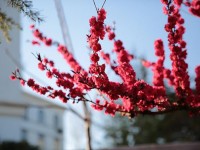 山東威海藝術(shù)幼兒師范學(xué)校2023年學(xué)費(fèi)、收費(fèi)多少