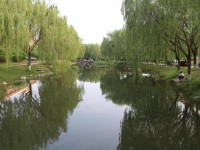 新鄉(xiāng)工程師范學院歷年招生錄取分數線