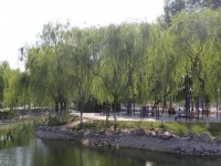 新鄉(xiāng)工程師范學(xué)院2023年學(xué)費(fèi)、收費(fèi)多少