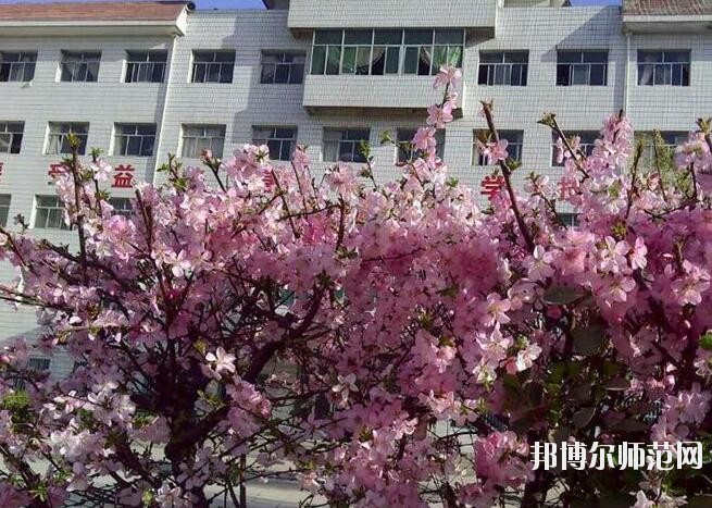 保定育德中專(zhuān)幼兒師范學(xué)校網(wǎng)站網(wǎng)址