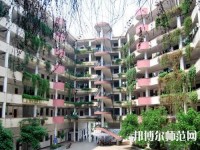 合江少岷幼兒師范職業(yè)技術(shù)學(xué)校2023年怎么樣、好不好