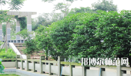 德陽(yáng)通用電子科技幼兒師范學(xué)校2020年報(bào)名條件、招生要求、招生對(duì)象