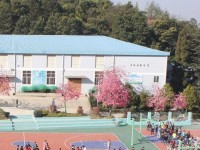 云南林業(yè)幼兒師范高級技工學(xué)校2023年學(xué)費、收費多少
