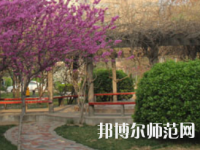 鄭州2020年幼師學(xué)?？梢詫W(xué)什么