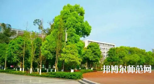 重慶市九龍坡幼師職業(yè)教育中心怎么樣、好不好。