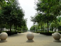 廣西現(xiàn)代職業(yè)技術(shù)師范學(xué)院2023年報(bào)名條件、招生要求、招生對(duì)象