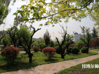 西安2021年幼師學(xué)校哪個(gè)專(zhuān)業(yè)好