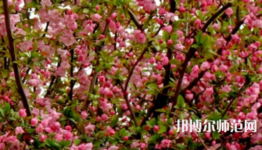 鄭州大學師范學院南校區(qū)2023年怎么樣、好不好