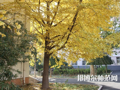 北京京北職業(yè)師范技術(shù)學院2023年報名條件、招生要求、招生對象