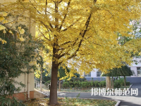 北京京北職業(yè)師范技術(shù)學(xué)院2023年報(bào)名條件、招生要求、招生對象