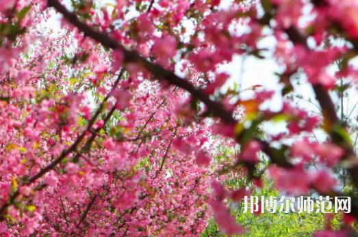 鄭州大學(xué)師范學(xué)院主校區(qū)2023年報(bào)名條件、招生要求、招生對(duì)象