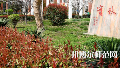周口職業(yè)技術(shù)師范學(xué)院開(kāi)元校區(qū)2023年有哪些專(zhuān)業(yè)