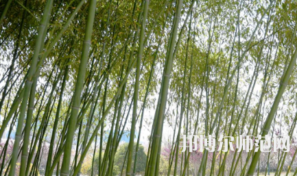 周口職業(yè)技術(shù)師范學(xué)院開元校區(qū)2023年報(bào)名條件、招生要求、招生對(duì)象