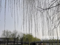 鶴壁職業(yè)技術(shù)師范學(xué)院2023年怎么樣、好不好