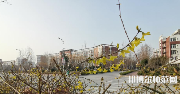 鶴壁職業(yè)技術(shù)師范學(xué)院2023年報(bào)名條件、招生要求、招生對(duì)象