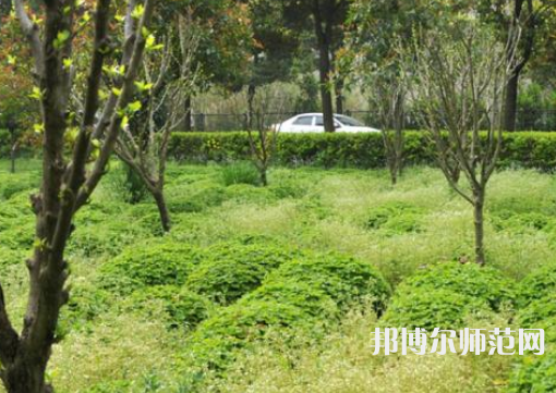 駐馬店師范職業(yè)技術(shù)學(xué)院2023年報(bào)名條件、招生要求、招生對(duì)象
