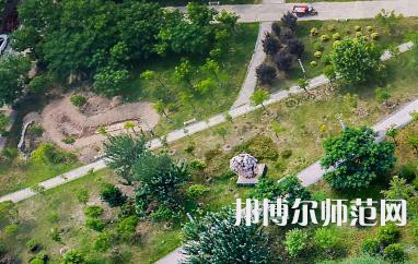 陜西國際商貿(mào)師范學(xué)院2023年報(bào)名條件、招生要求、招生對象