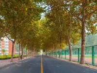 聊城師范大學(xué)東昌學(xué)院2023年報名條件、招生要求、招生對象