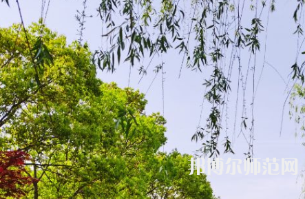 南陽理工師范學院2023年報名條件、招生要求、招生對象