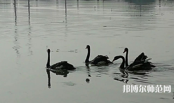 浙江師范大學(xué)行知學(xué)院蘭溪校區(qū)2023年怎么樣、好不好
