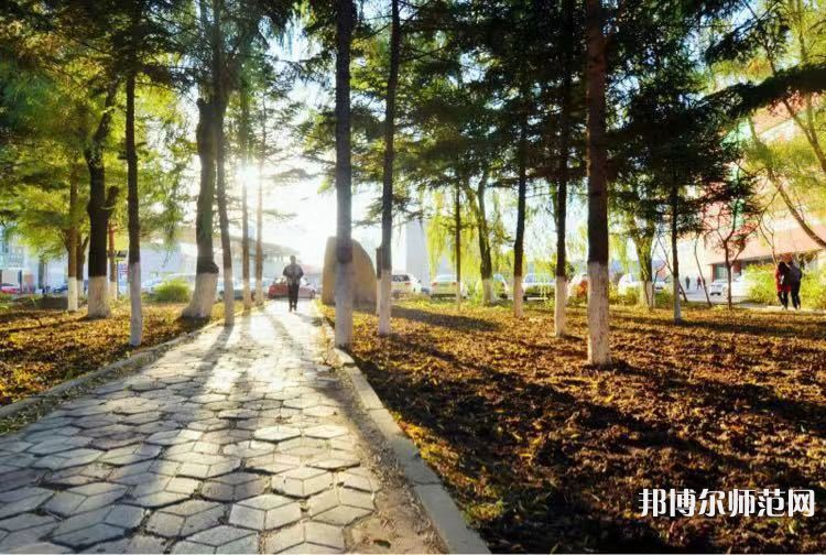 長春大學(xué)師范學(xué)院主校區(qū)2023年報名條件、招生要求、招生對象