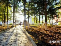 長春大學(xué)師范學(xué)院主校區(qū)2023年報名條件、招生要求、招生對象