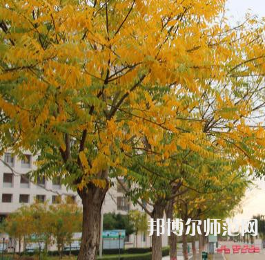 延川幼師職教中心2023年學(xué)費(fèi)、收費(fèi)多少