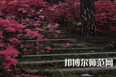 信陽師范學(xué)院華銳學(xué)院2023年報名條件、招生要求、招生對象