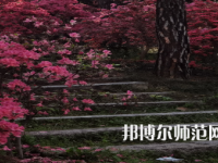 信陽師范學(xué)院華銳學(xué)院2023年報(bào)名條件、招生要求、招生對(duì)象