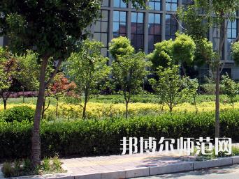 安陽幼兒師范高等?？茖W校2023年有哪些專業(yè)