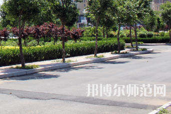 安陽幼兒師范高等專科學校2023年有哪些專業(yè)