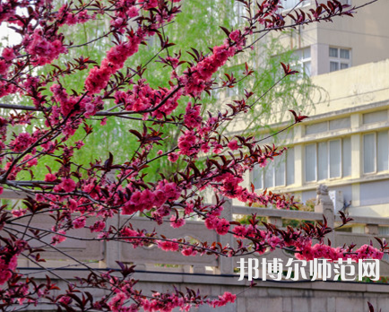 蘇州科技師范大學(xué)天平學(xué)院2023年報(bào)名條件、招生要求、招生對(duì)象