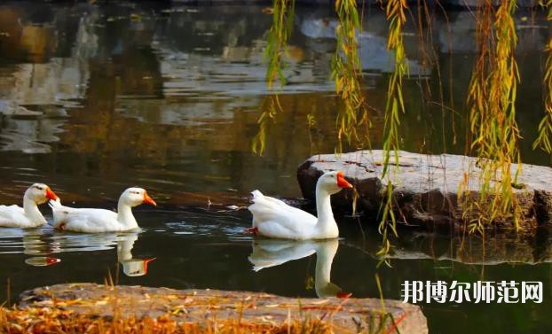山東財(cái)經(jīng)師范大學(xué)萊蕪校區(qū)2023年報(bào)名條件、招生要求、招生對象 