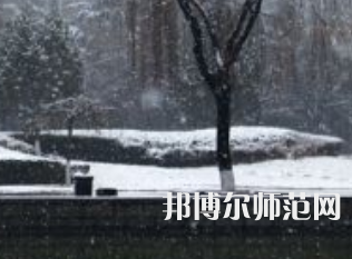 焦作師范高等?？茖W(xué)校2023年招生代碼