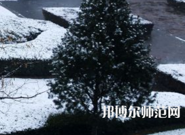 焦作師范高等?？茖W(xué)校2023年報(bào)名條件、招生要求、招生對(duì)象
