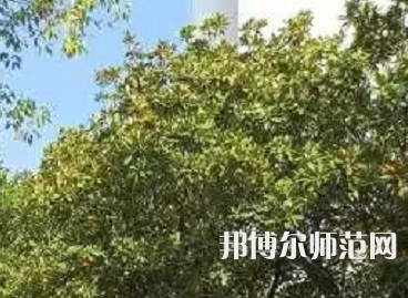 湖南理工師范學(xué)院南湖學(xué)院2023年怎么樣、好不好
