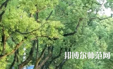 湖南理工師范學(xué)院南湖學(xué)院2023年報(bào)名條件、招生要求、招生對(duì)象