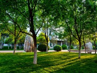 山東財(cái)經(jīng)師范大學(xué)圣井校區(qū)2023年怎么樣、好不好