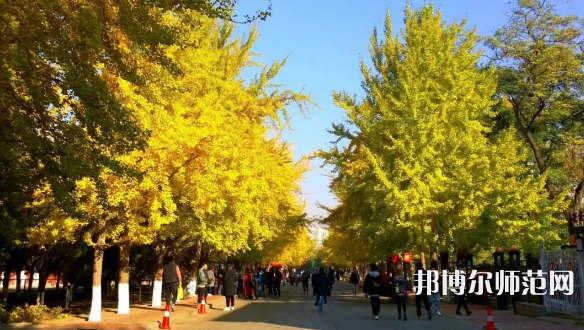 遼寧大學(xué)師范學(xué)院崇山校區(qū)2023年報(bào)名條件、招生要求、招生對(duì)象