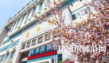 南華師范大學(xué)雨母校區(qū)2023年報名條件、招生要求、招生對象