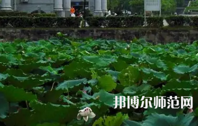 南華師范大學(xué)紅湘校區(qū)2023年報(bào)名條件、招生要求、招生對(duì)象