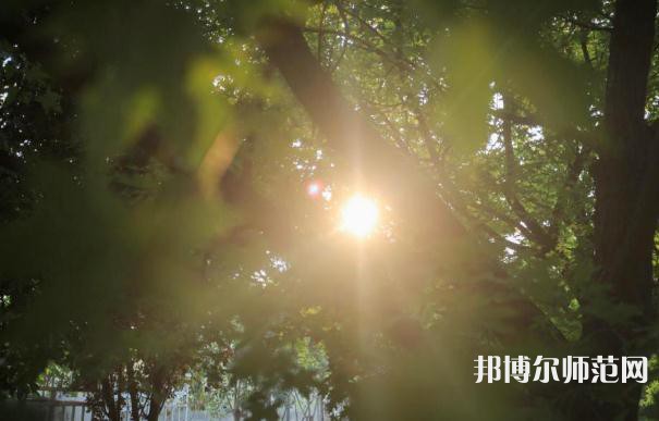 咸陽職業(yè)技術(shù)師范學(xué)院2023年報(bào)名條件、招生要求、招生對(duì)象