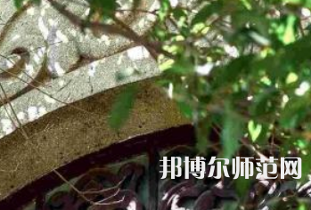 湖南大學(xué)師范學(xué)院南校區(qū)2023年有哪些專(zhuān)業(yè)