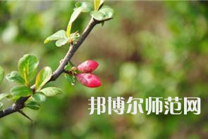 西安幼兒師范職業(yè)學校2023年學費、收費多少
