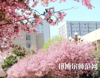 中國礦業(yè)師范大學(xué)徐海學(xué)院2023年報(bào)名條件、招生要求、招生對象