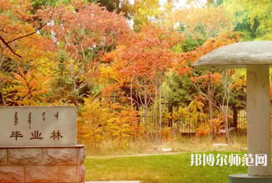 內(nèi)蒙古大學(xué)師范學(xué)院滿洲里學(xué)院2023年怎么樣、好不好