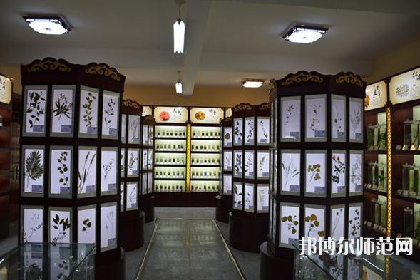 銅川職業(yè)技術(shù)師范學(xué)院2023年學(xué)費(fèi)、收費(fèi)多少